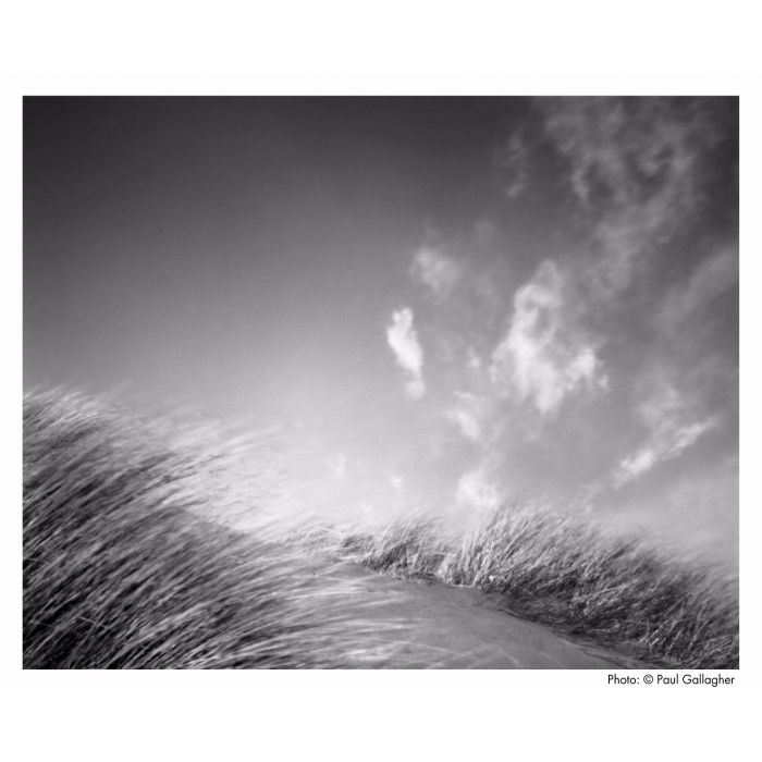 square camera phone under 15000