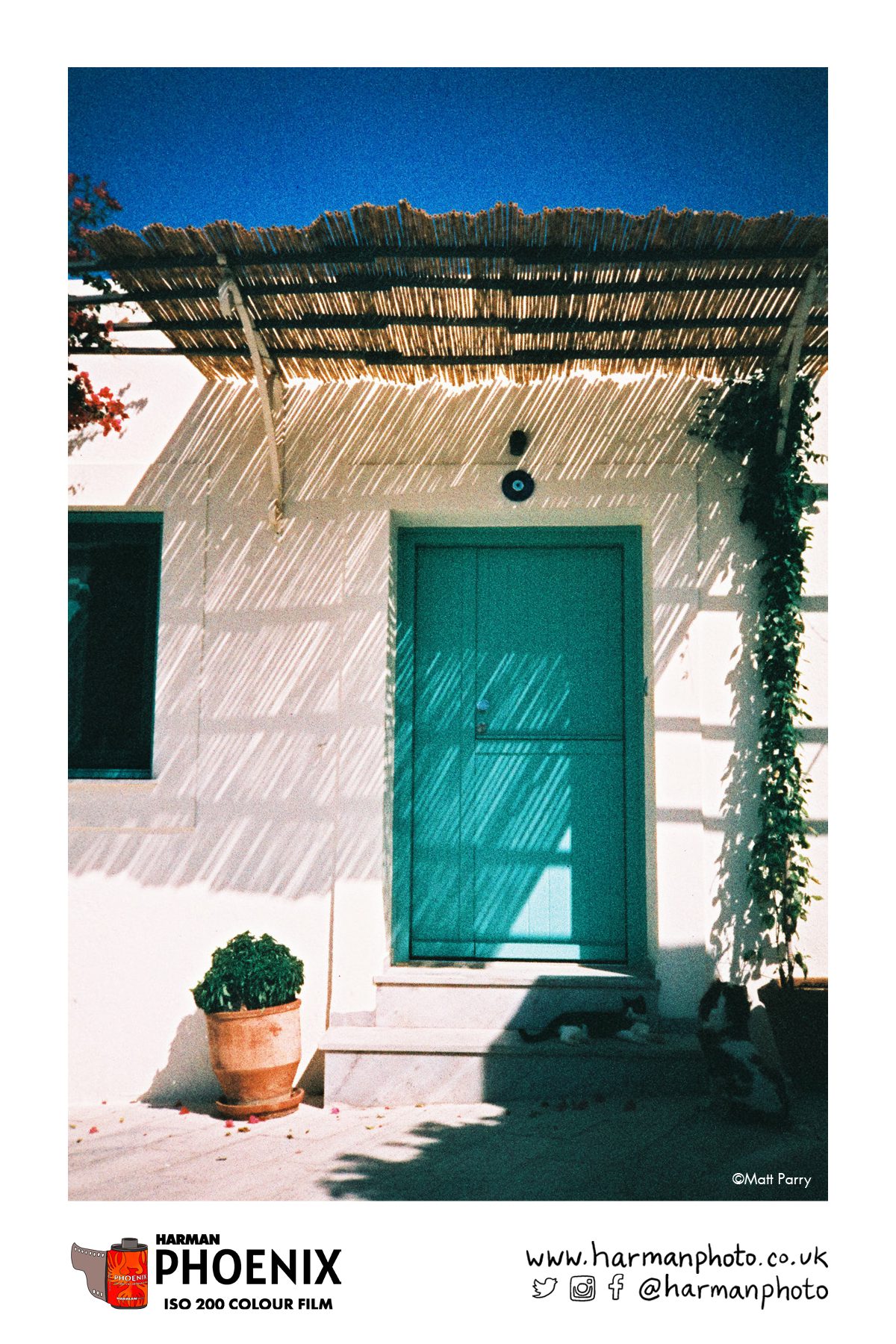 Blue door on a white building in Greece which plants on the doorstep. Shot on HARMAN Phoenix colour film